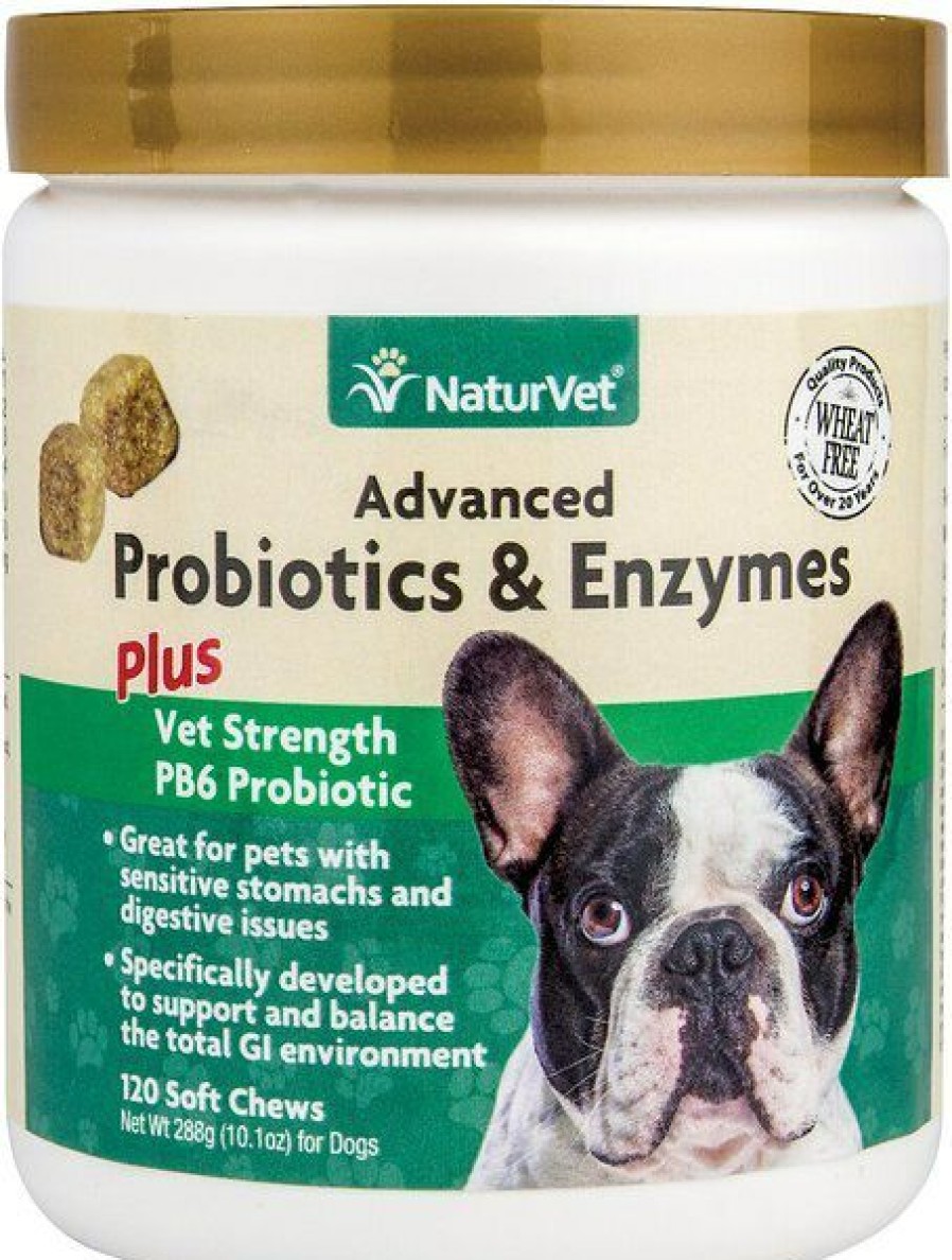 Hot * Hot Sale Naturvet Advanced Probiotics & Enzymes Plus Vet Strength Pb6 Probiotic Soft Chews Digestive Supplement For Dogs