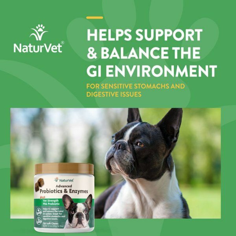 Hot * Hot Sale Naturvet Advanced Probiotics & Enzymes Plus Vet Strength Pb6 Probiotic Soft Chews Digestive Supplement For Dogs