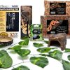 Hot * Top Selling Xyzreptiles Boa Constrictor Reptile Starter Kit