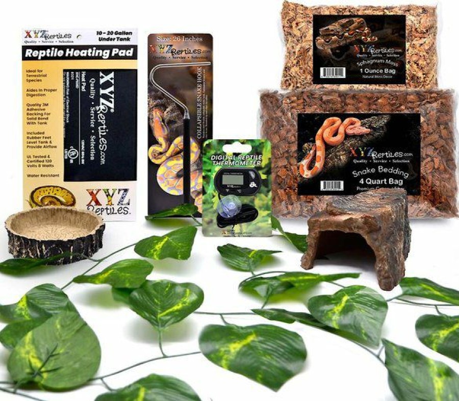 Hot * Top Selling Xyzreptiles Boa Constrictor Reptile Starter Kit