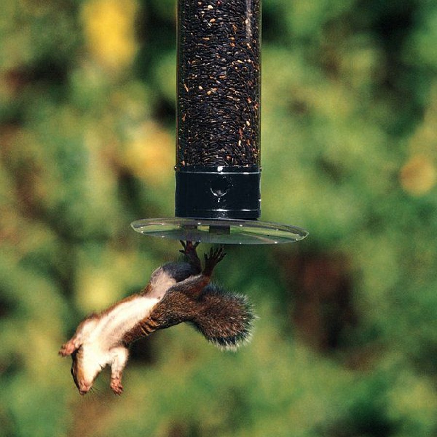 Online * Hot Sale Droll Yankees Yankee Tipper Collapsing Bird Feeder, 21-In