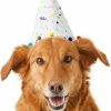 Online * Best Sale Frisco Confetti Dog & Cat Birthday Hat