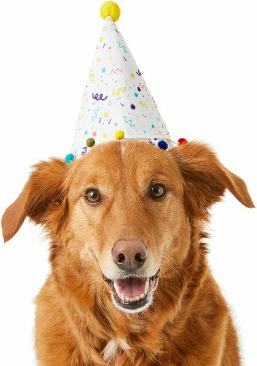 Online * Best Sale Frisco Confetti Dog & Cat Birthday Hat