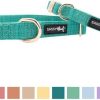 Best * Cheaper Sassy Woof Dog Collar