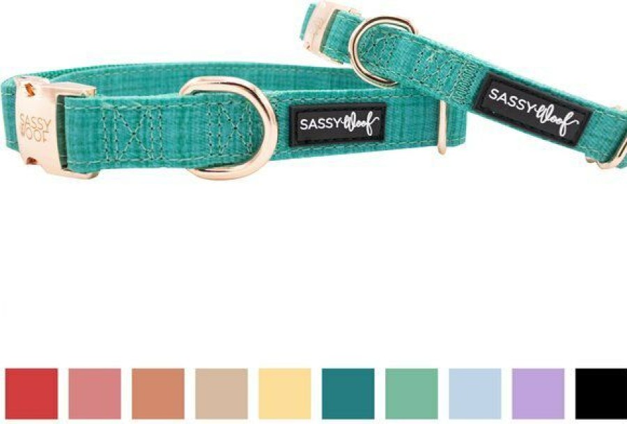 Best * Cheaper Sassy Woof Dog Collar