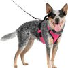 Wholesale * Popular Petsafe Easysport Nylon Reflective Back Clip Dog Harness