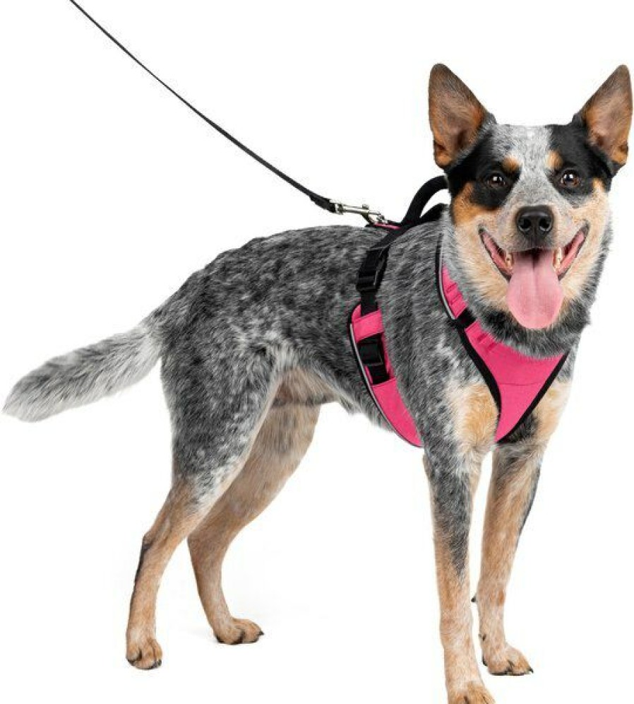 Wholesale * Popular Petsafe Easysport Nylon Reflective Back Clip Dog Harness