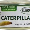 Hot * Hot Sale Exotic Nutrition Caterpillars Hedgehog Treats, 1.2-Oz Can