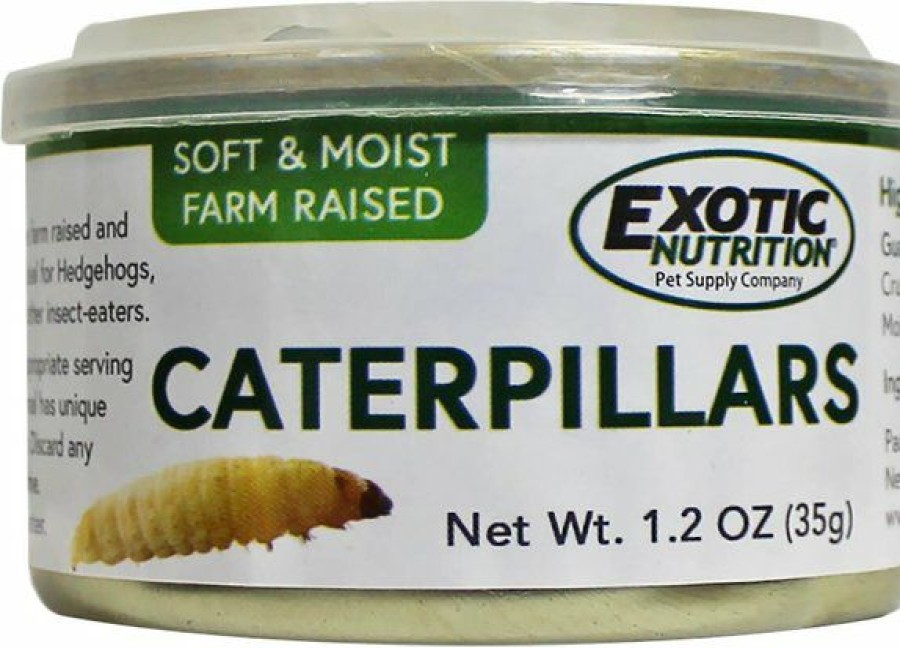 Hot * Hot Sale Exotic Nutrition Caterpillars Hedgehog Treats, 1.2-Oz Can