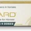 Clearance * Limited Edition Ulcergard (Omeprazole) Gastric Ulcer Oral Paste Horse Treatment, 1 Syringe, .22-Oz Syringe