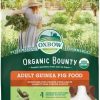 Clearance * Discount Oxbow Organic Bounty Adult Guinea Pig Food, 3-Lb Bag