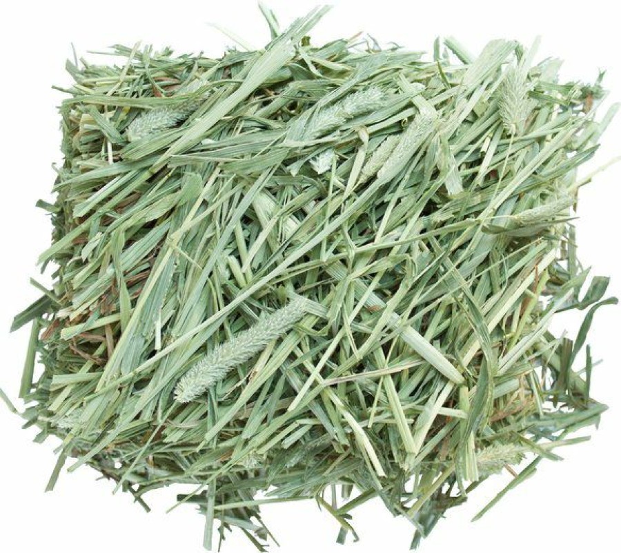 Best * Cheaper Brytin 1St Cutting All-Natural Western Timothy Hay Chinchilla Food