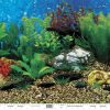 Best * Popular Penn-Plax Shale Wall/Hawaii Blue Double Aquarium Background