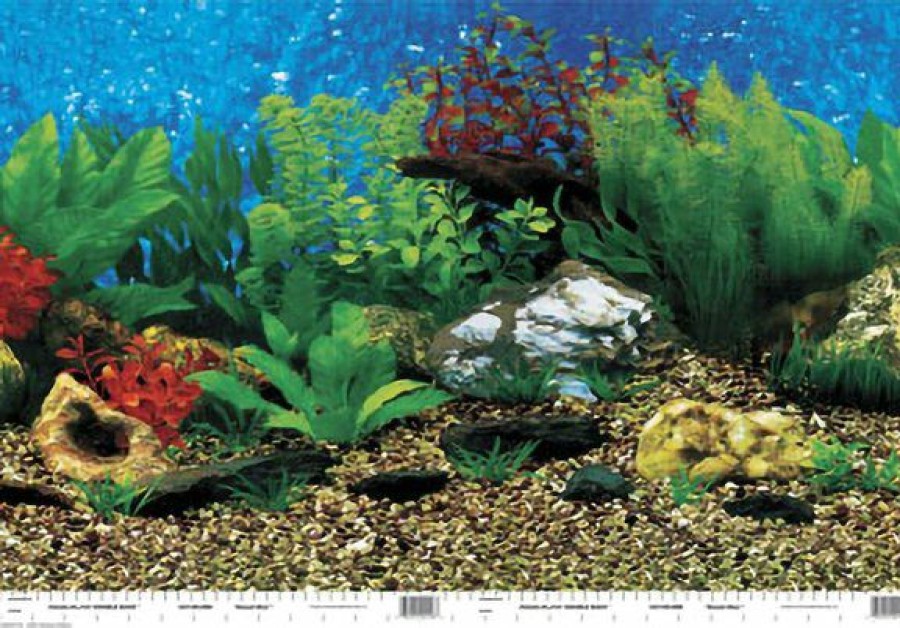 Best * Popular Penn-Plax Shale Wall/Hawaii Blue Double Aquarium Background