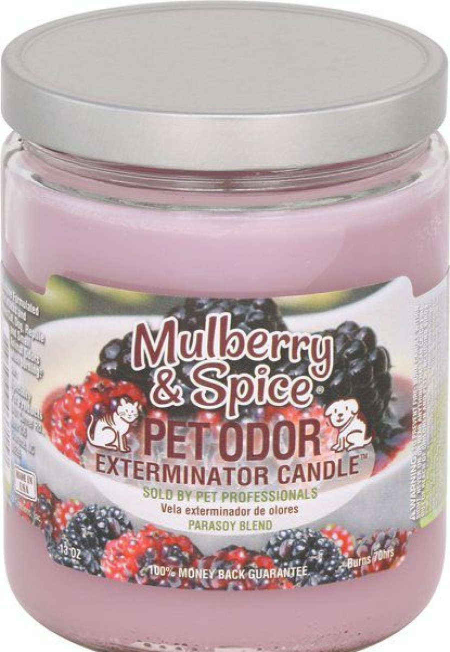 Best * Discount Store Pet Odor Exterminator Mulberry & Spice Deodorizing Candle, 13-Oz Jar