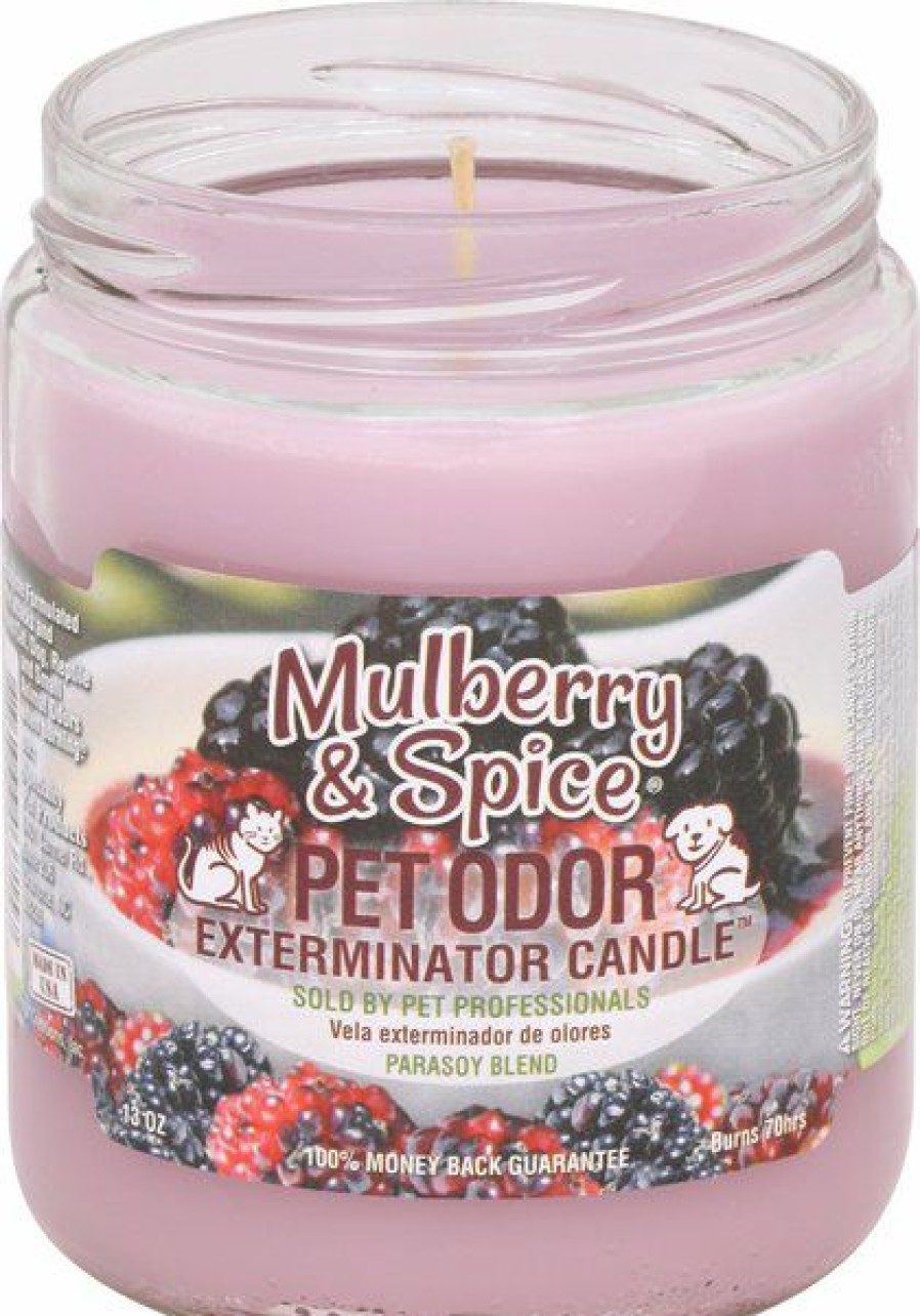 Best * Discount Store Pet Odor Exterminator Mulberry & Spice Deodorizing Candle, 13-Oz Jar